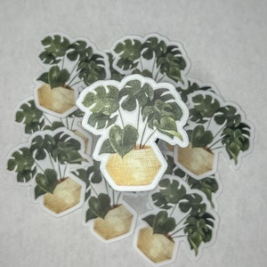 Monstera Plant Potted Vinyl Sticker
