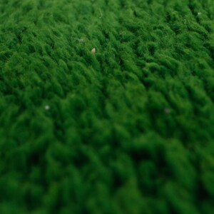 K&ouml;nnte beinhalten: Nahaufnahme eines &uuml;ppigen gr&uuml;nen Teppichs mit weicher, flauschiger Textur.