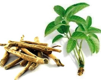 Ashwaghanda Herb 50g