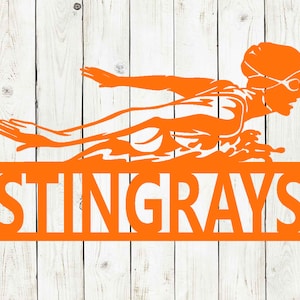 Swimming Female Custom Name Metal Sign, Kids Room Decor, Swimming, Swim Award, Swim Team, Butterfly, Freestyle, Swim, Swim Team, Swimmer