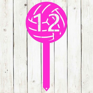 Cartel de metal de estaca personalizada de voleibol, voleibol, cartel de casco de voleibol, cartel de patio de voleibol, cartel de número de voleibol, voleibol, deportes imagen 5