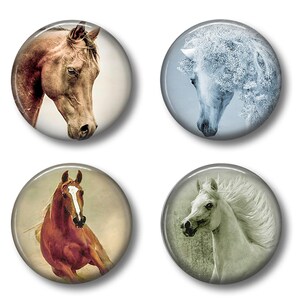 Horse Flair Pins, Horse Flair Buttons, Animal Flair Pins, Animal Flair Buttons