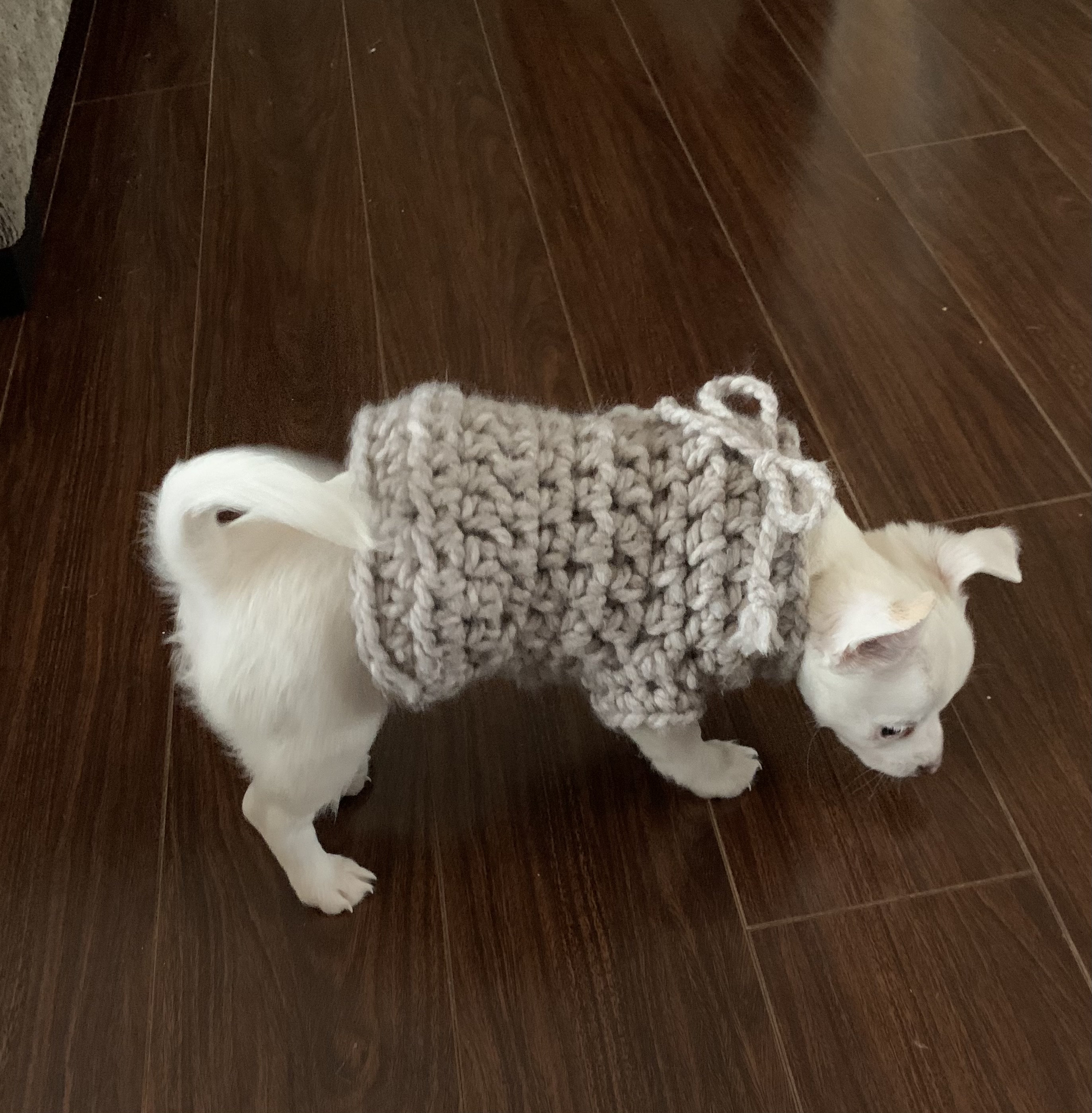 Adorable Bulky Dog Sweater XX Small Dog Sweater Crochet Dog Etsy