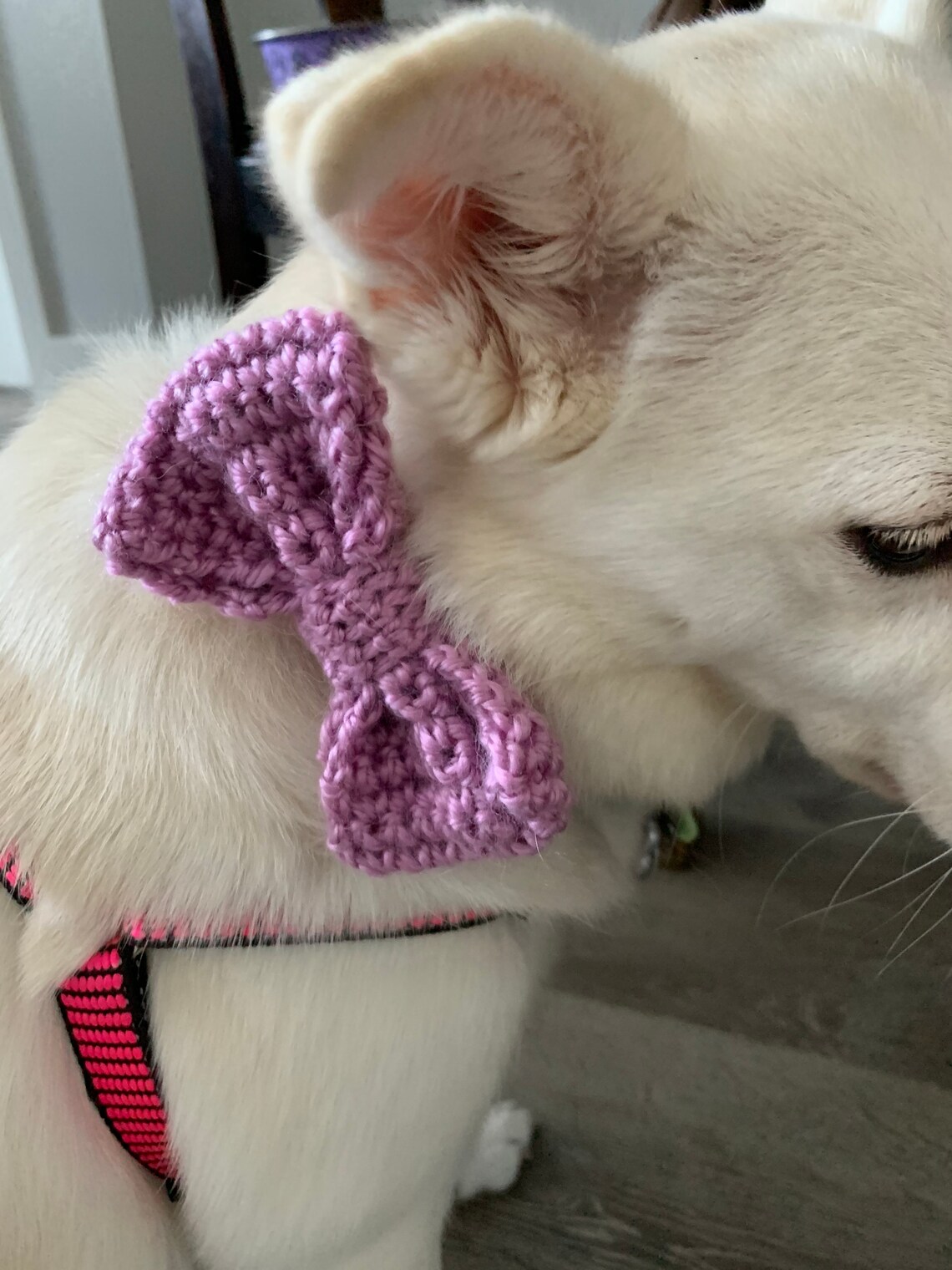 Dog Collar Bow Bow for Dog Collar Cute Dog Bow Pink Bow Etsy