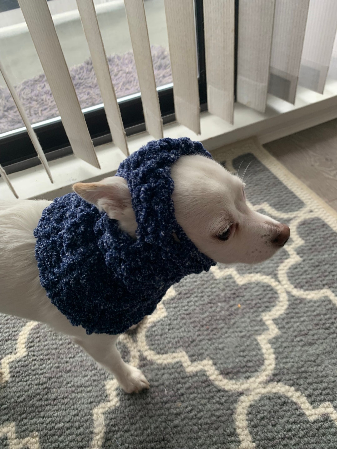 Chenille Dog Snood With Ear Holes Small Dog Hat With Ear Etsy Canada