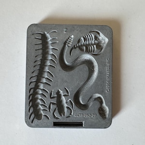 May include: A gray plastic mold featuring insect and reptile designs. The mold includes a centipede, a beetle, a snake, and a trilobite fossil. The text "2" and "©1994 MATTEL INC" are visible. The mold is rectangular with rounded corners.