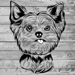 Yorkshire Terrier Puppy Cut SVG Digital Download File (Personal Use Only)