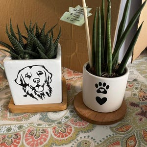 Golden Retriever SVG PNG DXF PDF Archivo de descarga digital (solo para uso personal)