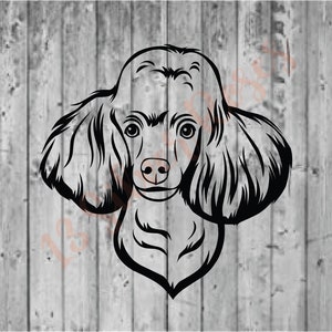 Poodle Dog SVG Digital Download File (Commercial Use)