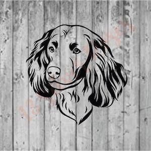 American Water Spaniel SVG Digital Download File (Personal Use Only)