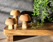 Artículos de esta tienda