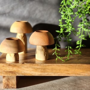Diffuseur d'huiles essentielles, diffuseur d'huiles essentielles en bois, ensemble de champignons, décor de champignons, champignon sculpté à la main, ensemble de champignons, décor de forêt