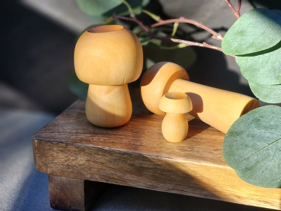 Wooden Mushroom Essential Oil Diffuser Set: Forest Decor