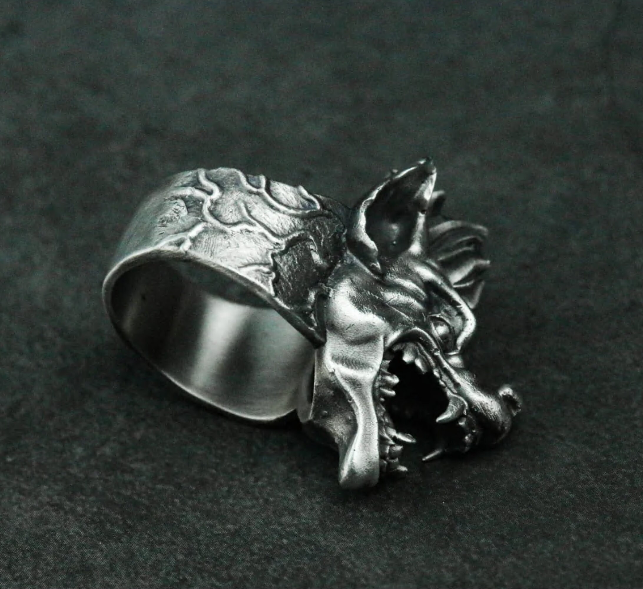 Hyena ring shop