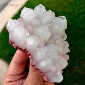 Puede incluir: Un cúmulo de cristales de cuarzo blanco con una base rosa. Los cristales son translúcidos y tienen una forma puntiaguda.