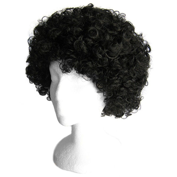 Economy Black Afro Wig - Fun Adult Teens Child Kids Halloween, Cosplay, Costume Party Dress Up, Birthday, Carnival, Parade, Photo Prop, Gift