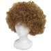 see more listings in the Costume Wigs section