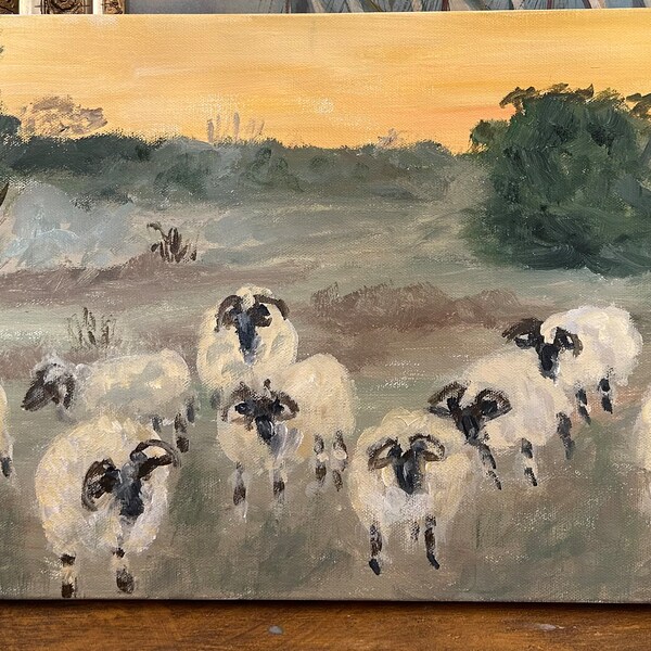 Sheep at Mission Ranch Carmel oil painting