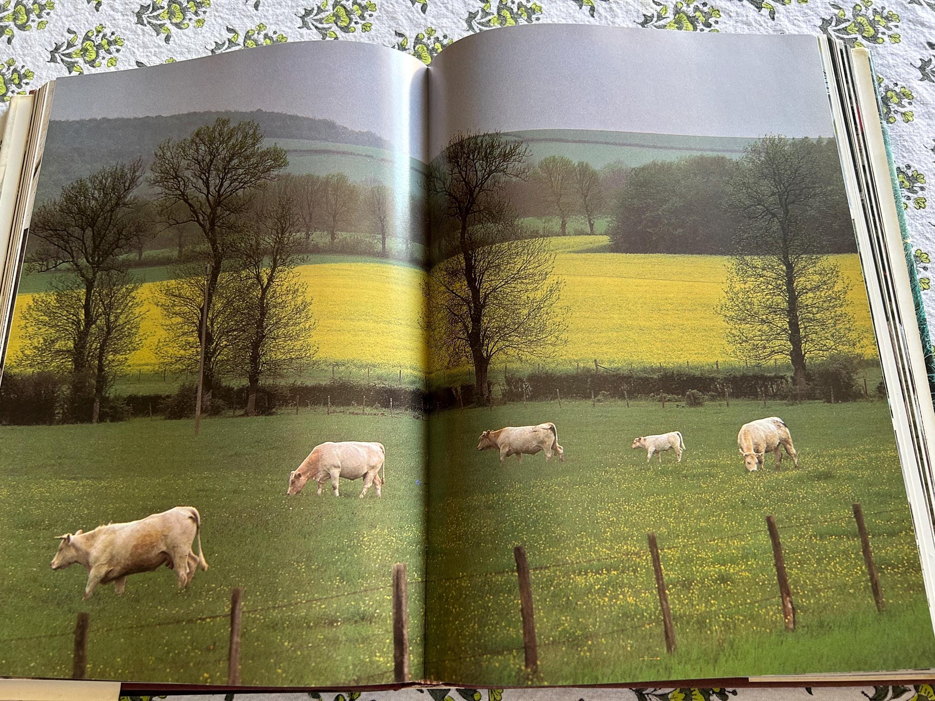 The Taste of France by Famed Photographer Robert Freson 375 Photos