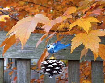 Adorno navideño de bellota con pájaro azul. Regalo para amigo invisible. Regalo para amigos. Regalo para profesores. Regalo para nueva casa.