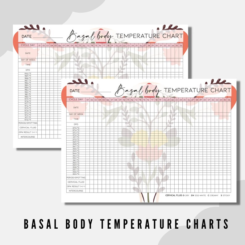 Basal Body Temperature Chart Planner Printable Download Etsy