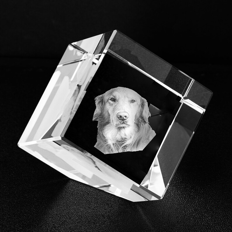 Pet Memorial Chrystal 3D Photo Laser Engraved Crystal Etsy