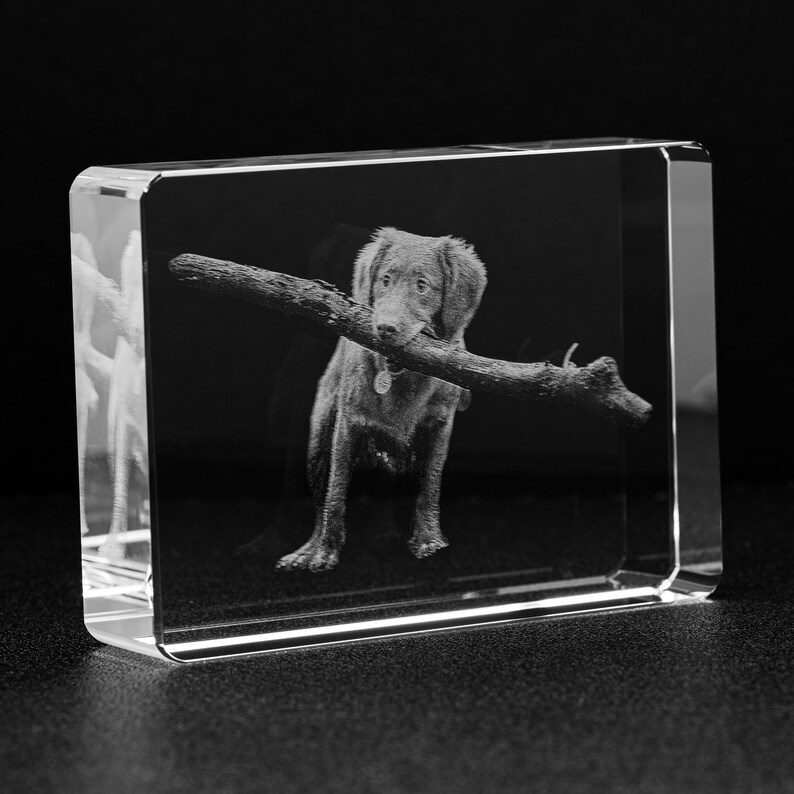Pet Memorial Chrystal 3D Photo Laser Engraved Crystal Etsy