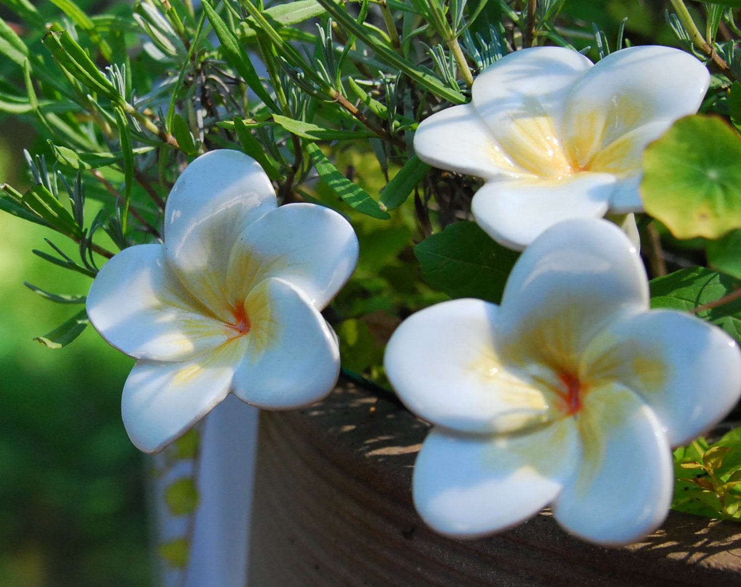 Plumeria, (1 Pc), Frangipani, Porcelain Flowers Handmade, Ceramic