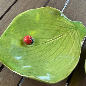 May include: A green ceramic leaf-shaped dish with a red ladybug on top.