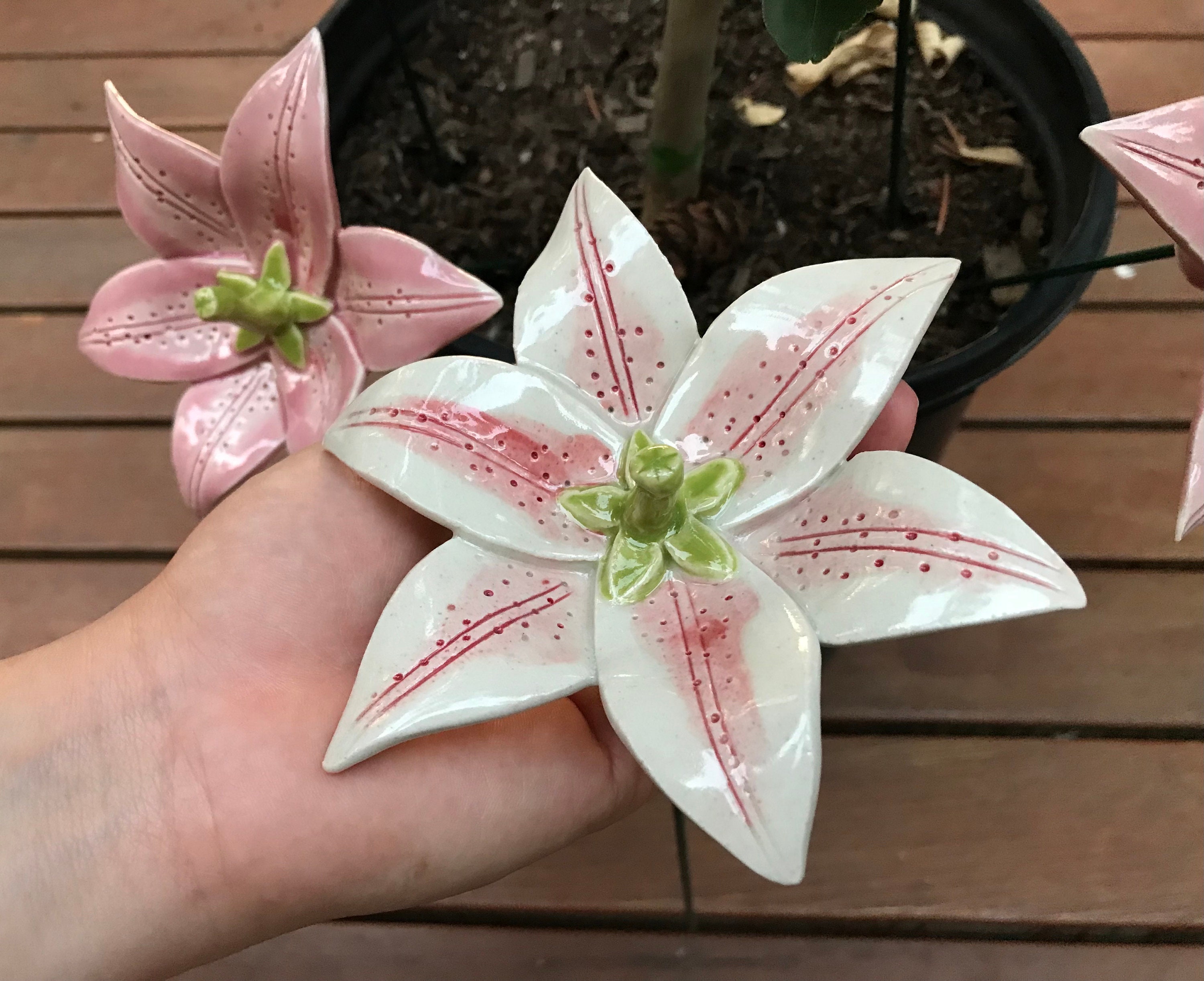 ダラ様17日までお取り置き♡Lily Lily (1 Pc), Oriental Lily, Asiatic Lily, Stargazer Lily, Garden