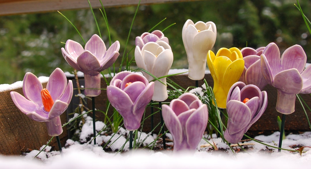 Crocus, (2 Pc), Porcelain Crocus, Porcelain Flowers Handmade, Ceramic ...