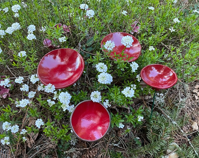Iceland Poppy, 1 Pc, Poppy Flower, Poppy, Oriental Poppy, Yard Art