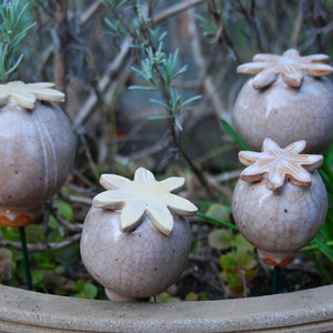 Poppy pods, Set of 2, Ceramic poppy, Ceramic flowers, Garden decoration, Garden art, Yard art, Garden sculpture, Outdoor garden decoration