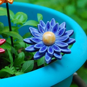 K&ouml;nnte beinhalten: Eine blaue Keramikblume mit gelbem Zentrum sitzt in einem t&uuml;rkisfarbenen Topf mit gr&uuml;nem Laub.