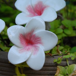 Plumeria, (1 pc), Frangipani, Pink Plumeria, Pink Frangipani, Ceramic flowers handmade, Garden decoration, Garden art