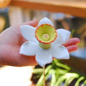 Daffodil (1 pc), Porcelain daffodil, Porcelain flowers handmade, Ceramic daffodil with stem, Garden decoration, Porcelain daffodil