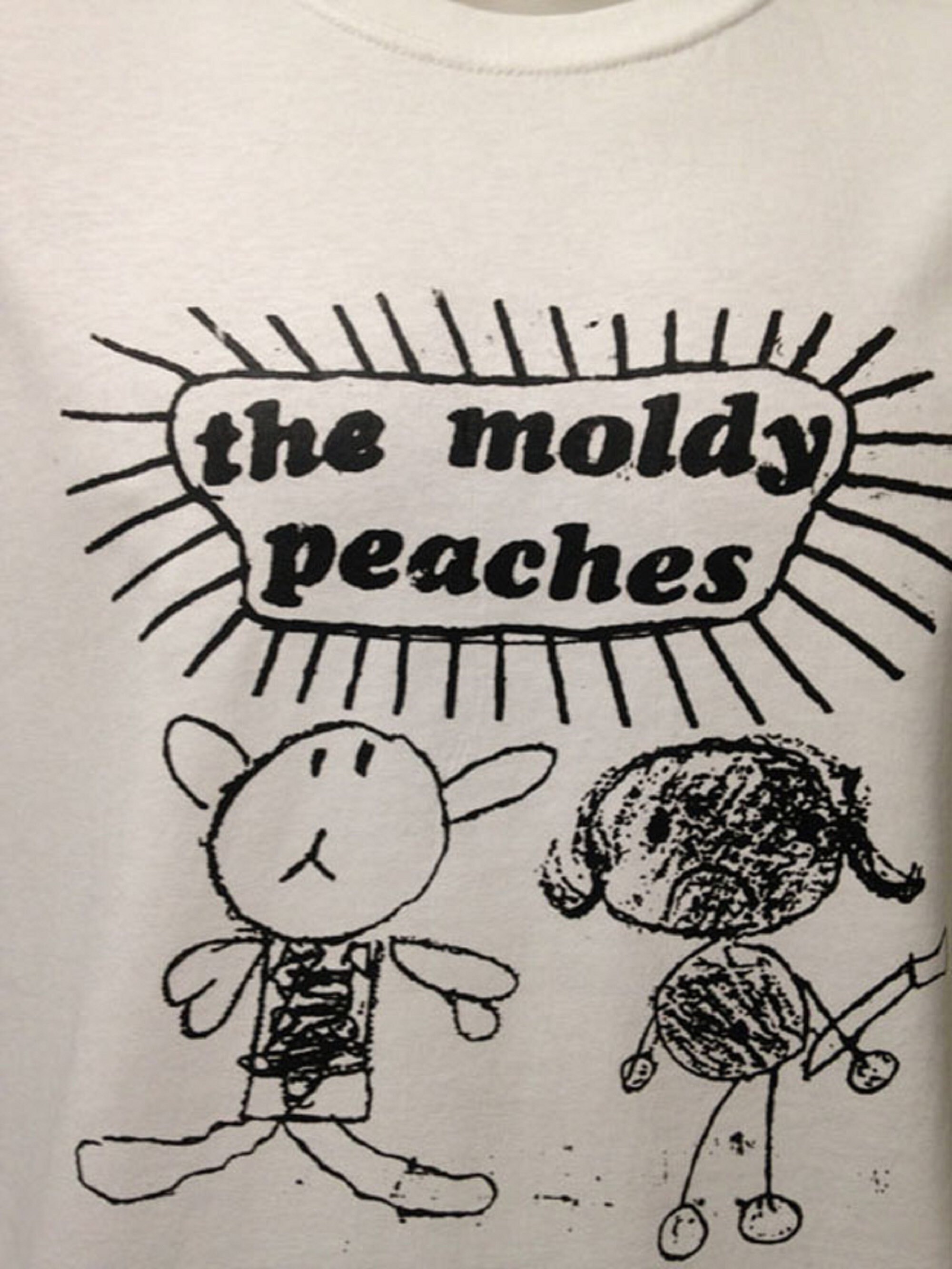 Die Moldy Peaches Indie Band MusiktShirt Etsy