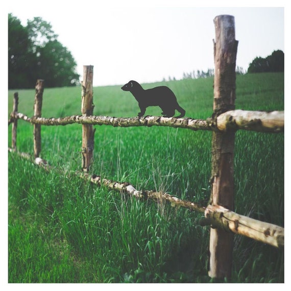 Ferret Fence Topper Garden Decor Garden Metal Garden Ornament Outdoors Gardening Gifts Etsy