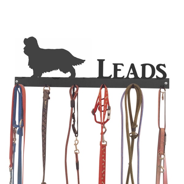 Cavalier King Charles Spaniel Lead Hook - 6 Hook Lead Tidy