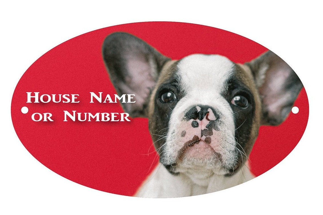 Welpen Hund mit großen Ohren UV gedruckt Metall Haus Plaque Etsy