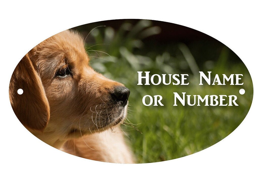 Puppy Labrador House Sign Outdoor Metal Printed Coloured House Etsy UK