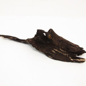 Medium, natural, unfinished, freshwater driftwood/Decorative driftwood/Aquarium driftwood.   21&#39;&#39;L   5&quot;W 5 &quot;H Item #0963
