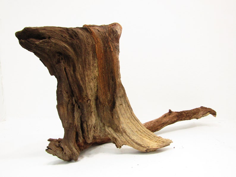 Large Natural Unfinished Freshwater Driftwood/decorative Etsy