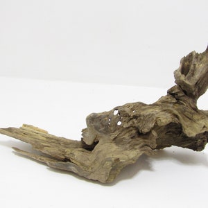Medium-Large natural, unfinished, freshwater driftwood/Decorative driftwood/Aquarium driftwood.   22&#39;&#39;L   11&quot;W  6&quot;H Item #2370