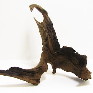 Unique medium unfinished freshwater driftwood/Aquarium driftwood Decorative driftwood  20&#39;&#39;L  15.5&#39;&#39;W  8&#39;&#39;H Item #2409