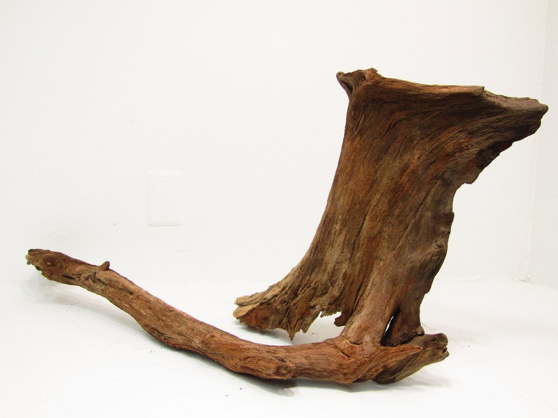 Large Natural Unfinished Freshwater Driftwood/decorative Etsy