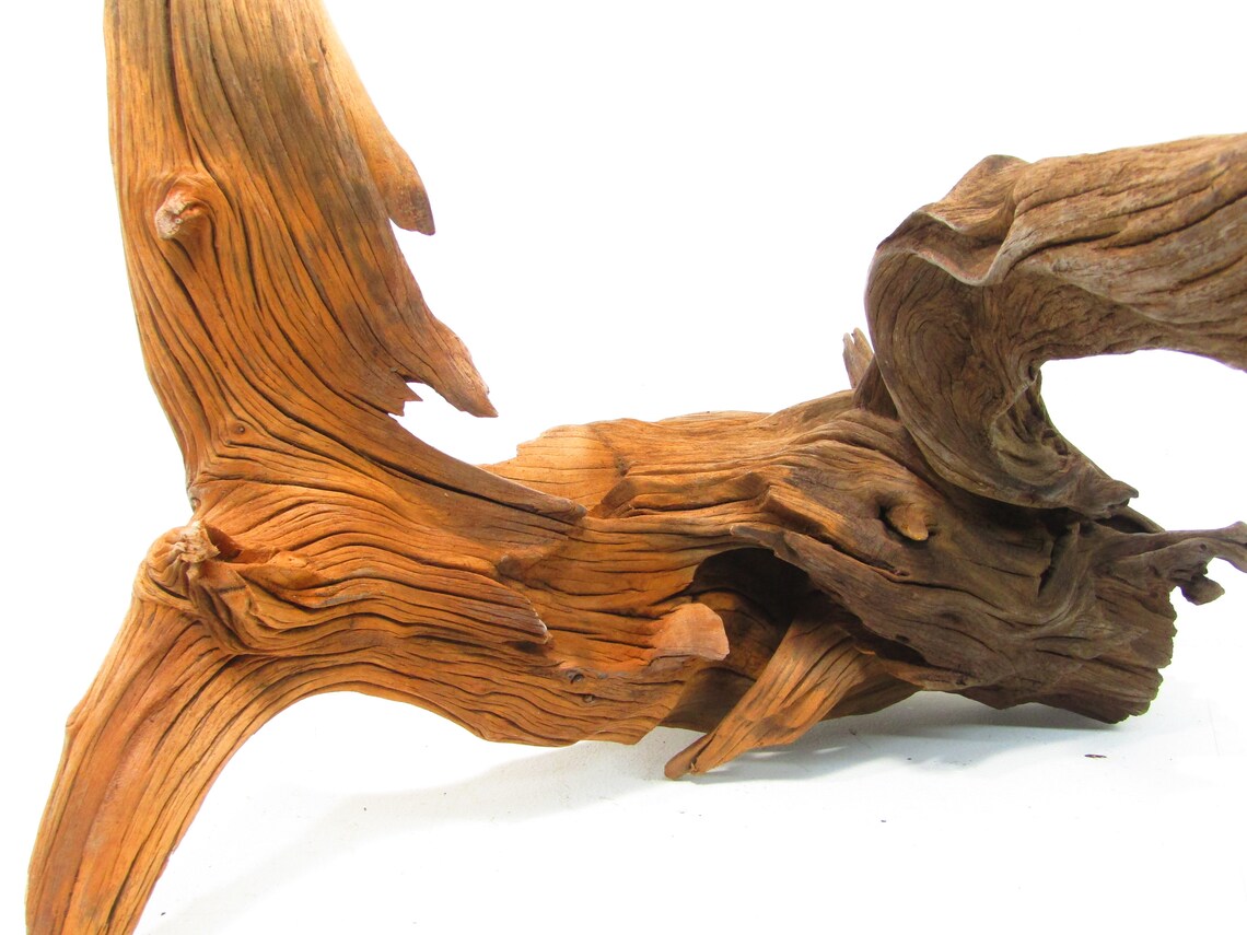large fresh water drift wood large fresh water drift wood