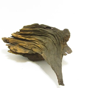 Unique medium unfinished freshwater driftwood/Aquarium driftwood Decorative driftwood 12&#39;&#39;L  7&#39;&#39;W  10.5&#39;&#39;H Item #2404
