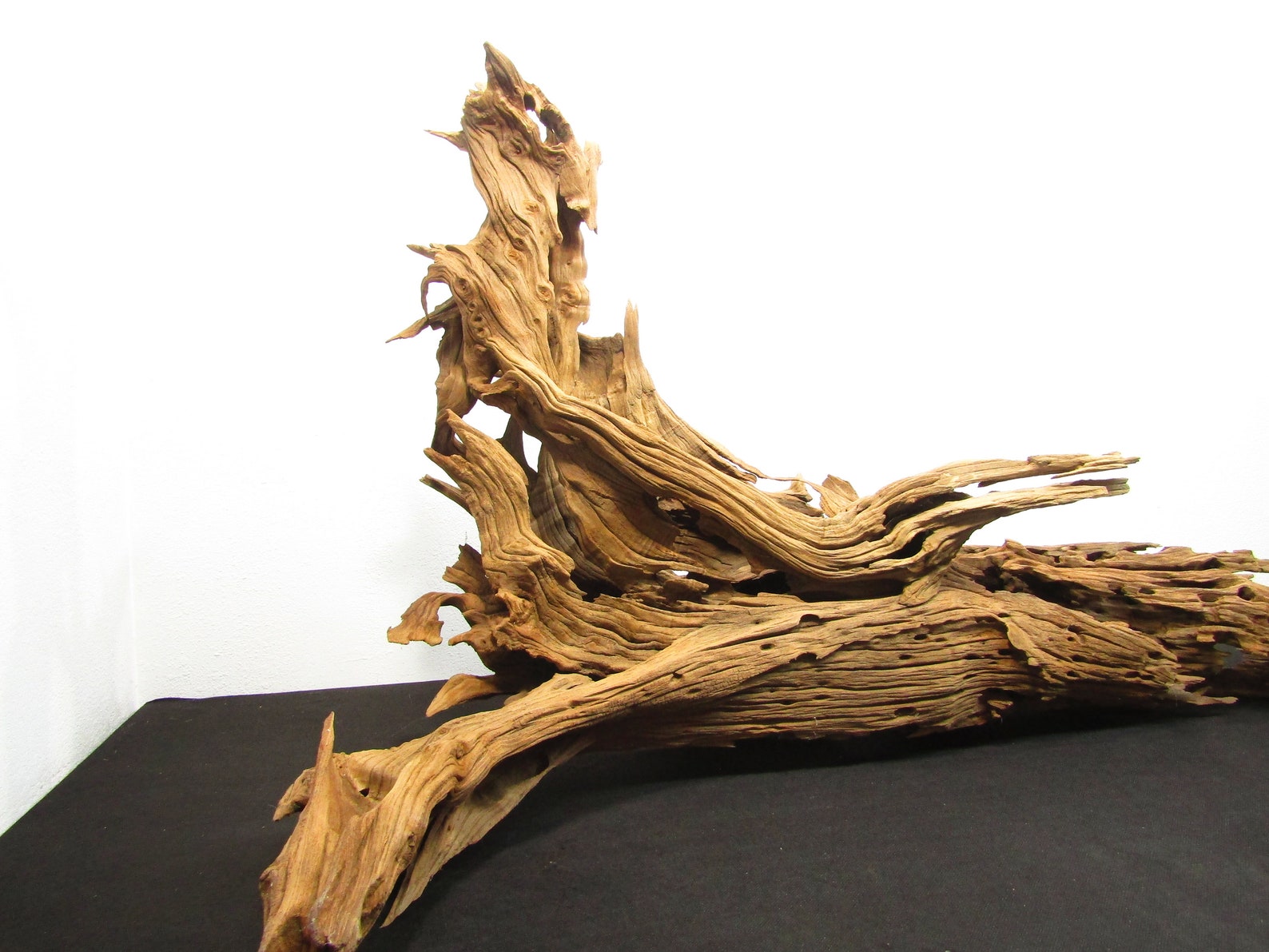 Rare Find/ Driftwood/aquarium Driftwood/decorative Driftwood Etsy