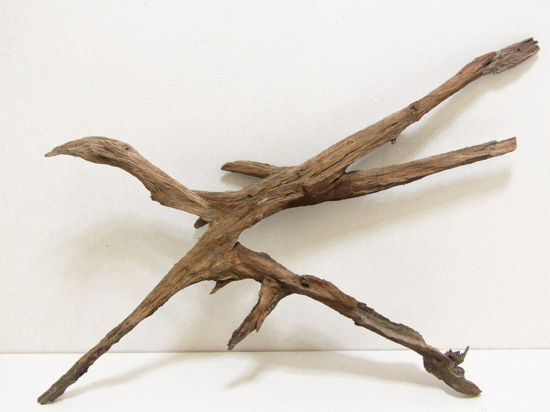 Medium Natural, Unfinished, Freshwater Driftwood/decorative Driftwood